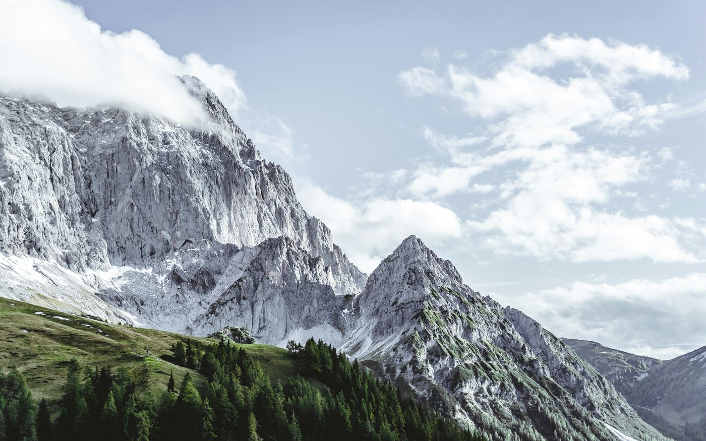 Schroffe Kalkgipfel über Nadelwald