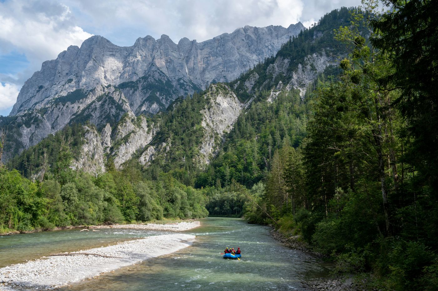 Fluss vor steilen Kalkwänden und Bergwald im Gesäuse