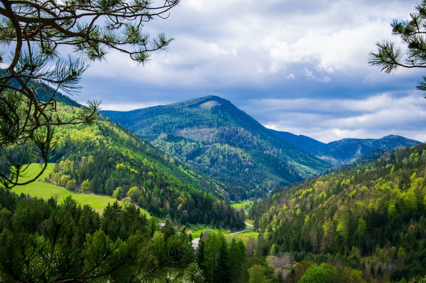 Hohe bewaldete Berge mit Blick in ein grünes Tal